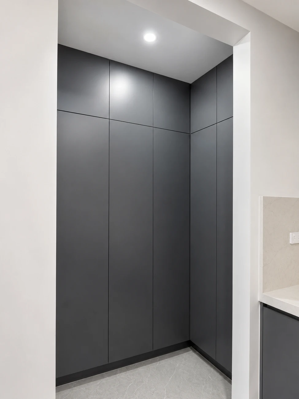 Dark pantry cabinetry